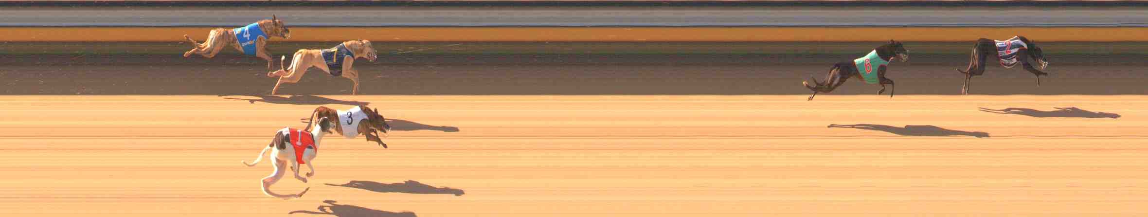 Photo finish for Warrnambool Race 2