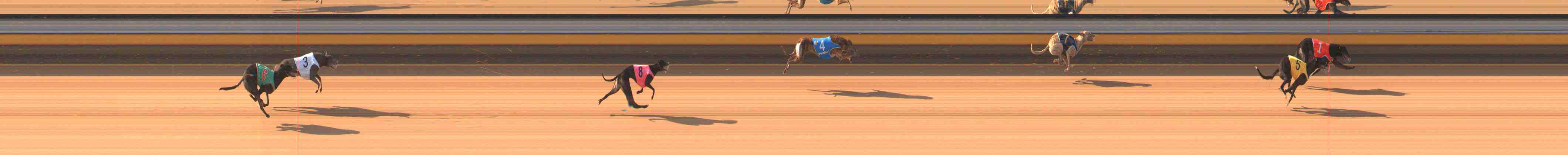 Photo finish for Warrnambool Race 3