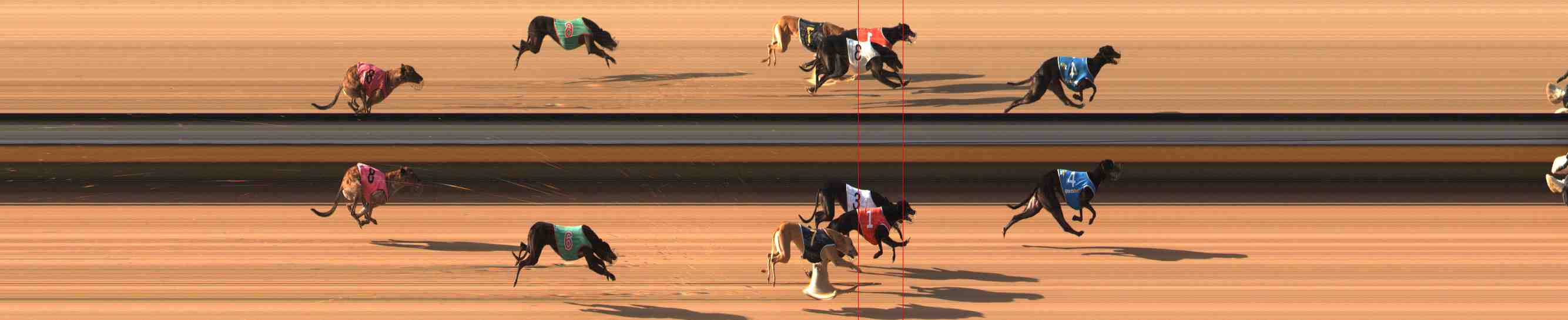 Photo finish for Warrnambool Race 4