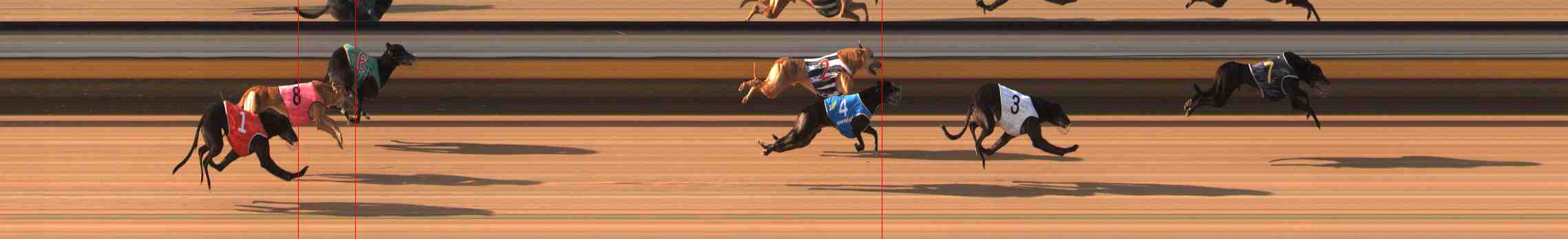 Photo finish for Warrnambool Race 5
