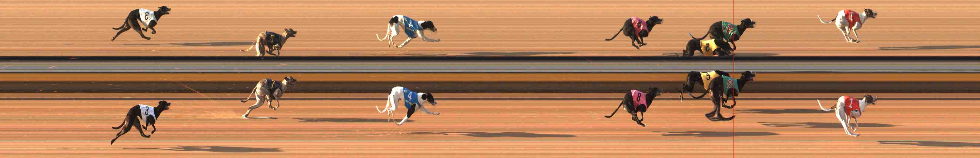 Photo finish for Warrnambool Race 6