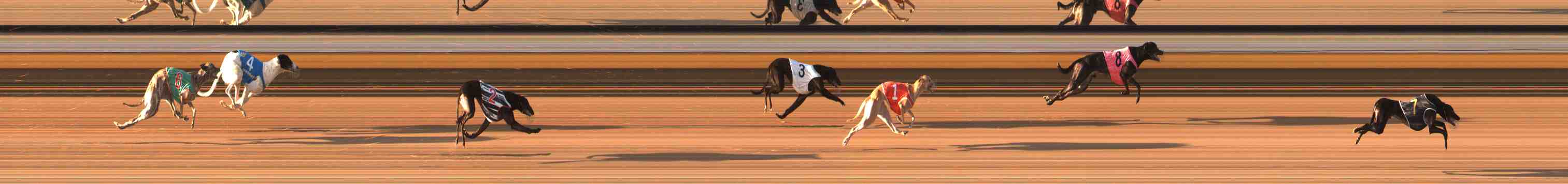 Photo finish for Warrnambool Race 7