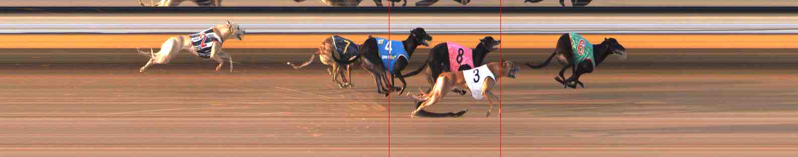 Photo finish for Warrnambool Race 8