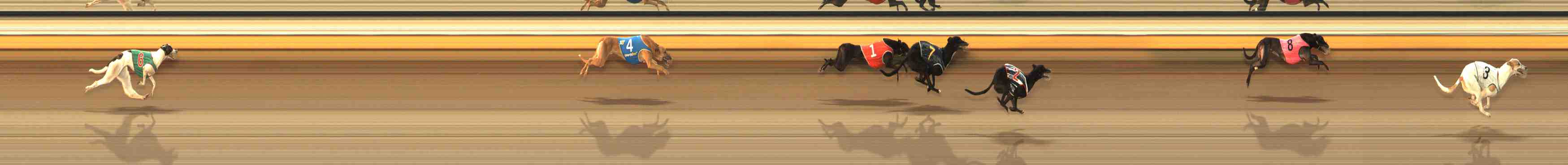 Photo finish for Warrnambool Race 9