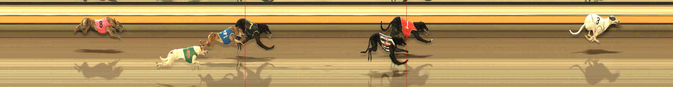 Photo finish for Warrnambool Race 10