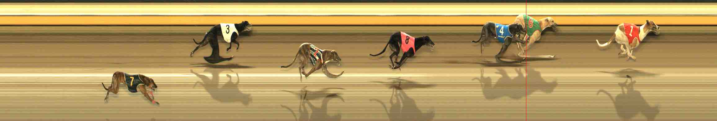 Photo finish for Warrnambool Race 12
