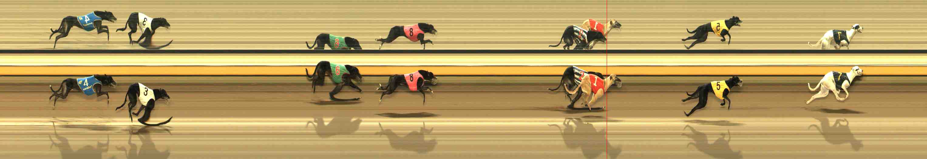 Photo finish for Warrnambool Race 13