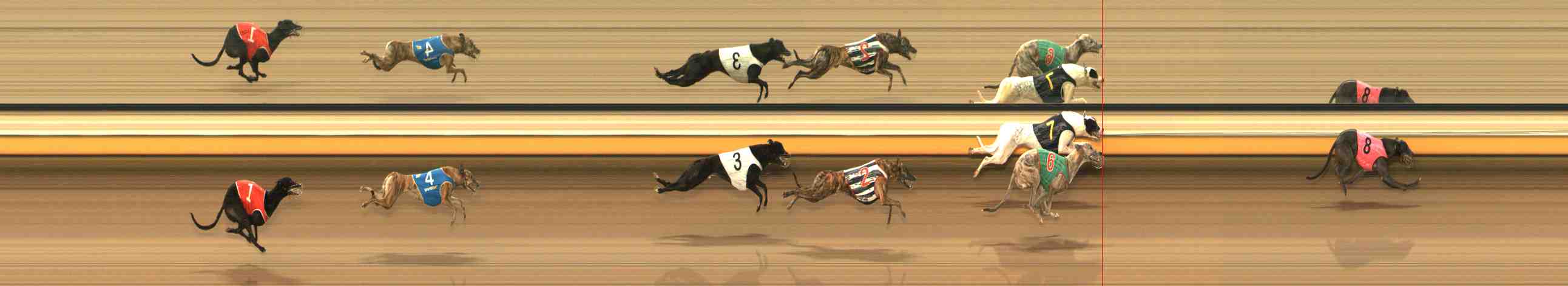 Photo finish for Warrnambool Race 1