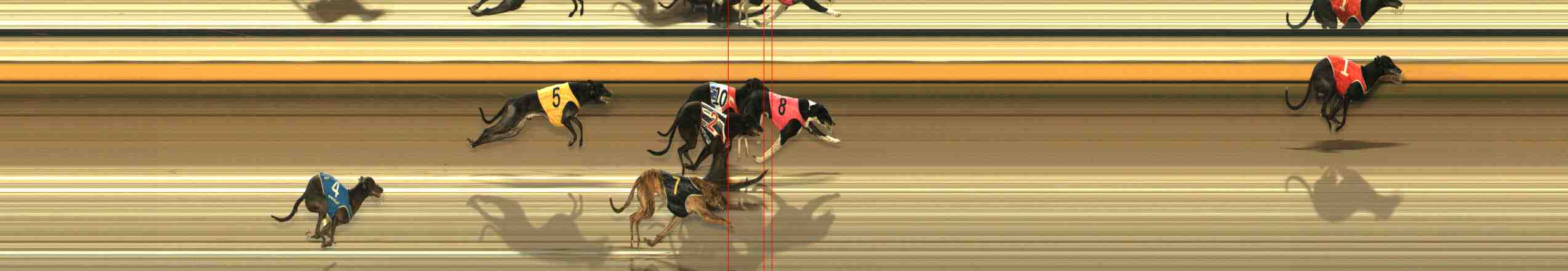 Photo finish for Warrnambool Race 2