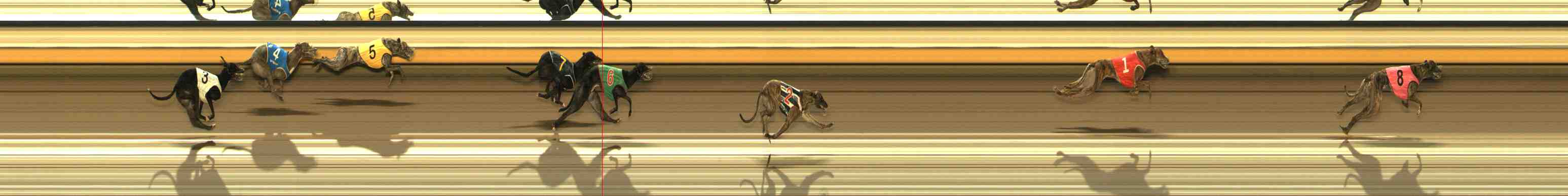 Photo finish for Warrnambool Race 3