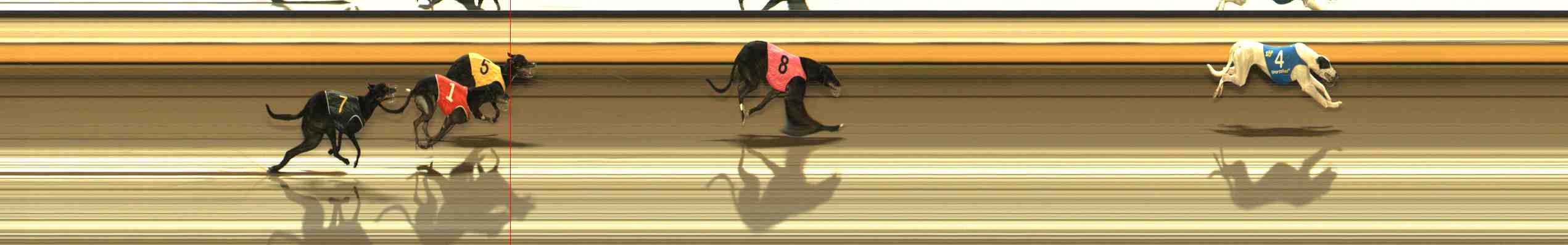Photo finish for Warrnambool Race 4