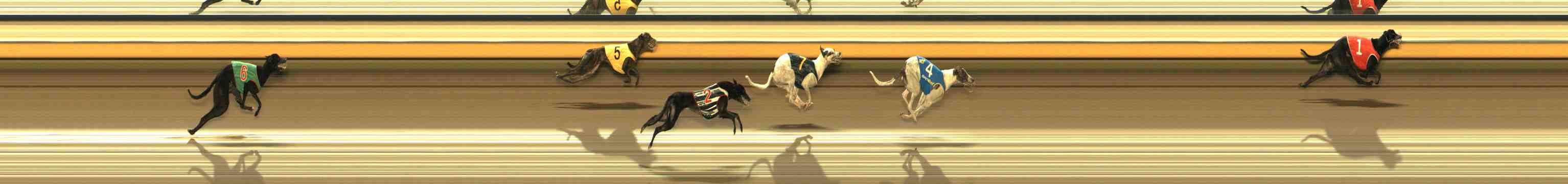 Photo finish for Warrnambool Race 5