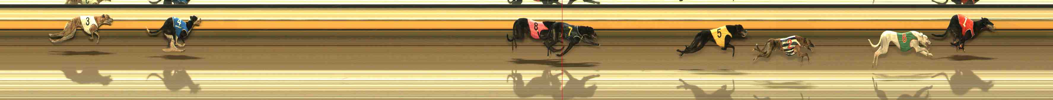 Photo finish for Warrnambool Race 7