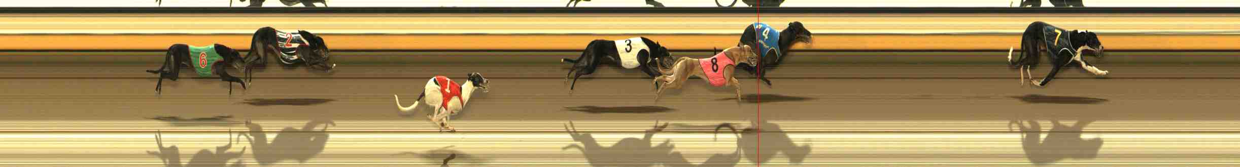 Photo finish for Warrnambool Race 9