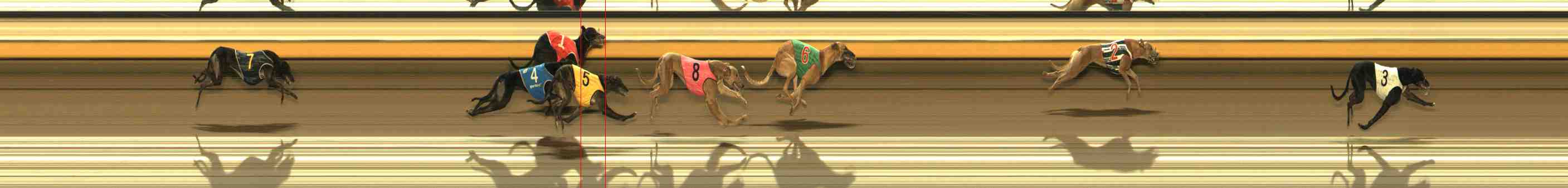 Photo finish for Warrnambool Race 10
