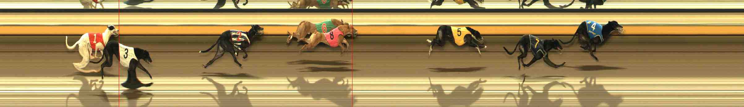 Photo finish for Warrnambool Race 11
