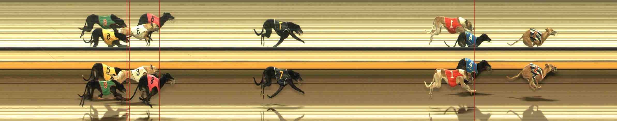 Photo finish for Warrnambool Race 12