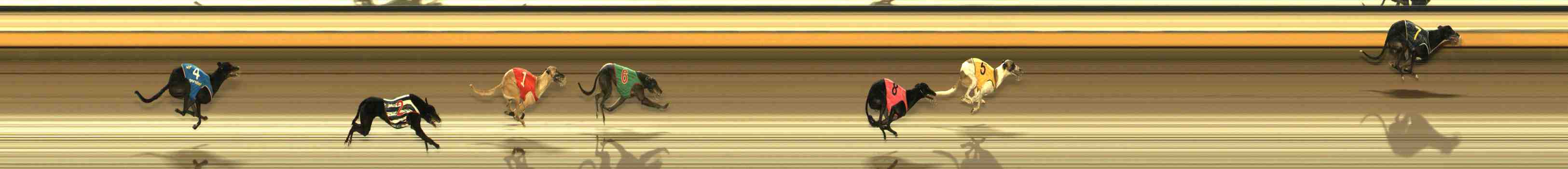 Photo finish for Warrnambool Race 13