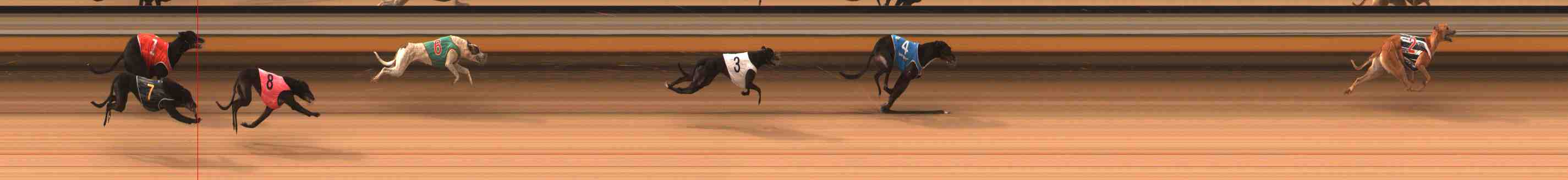 Photo finish for Warrnambool Race 1