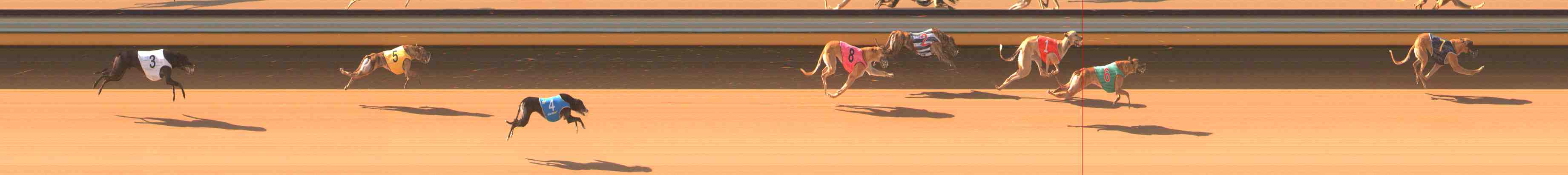 Photo finish for Warrnambool Race 2
