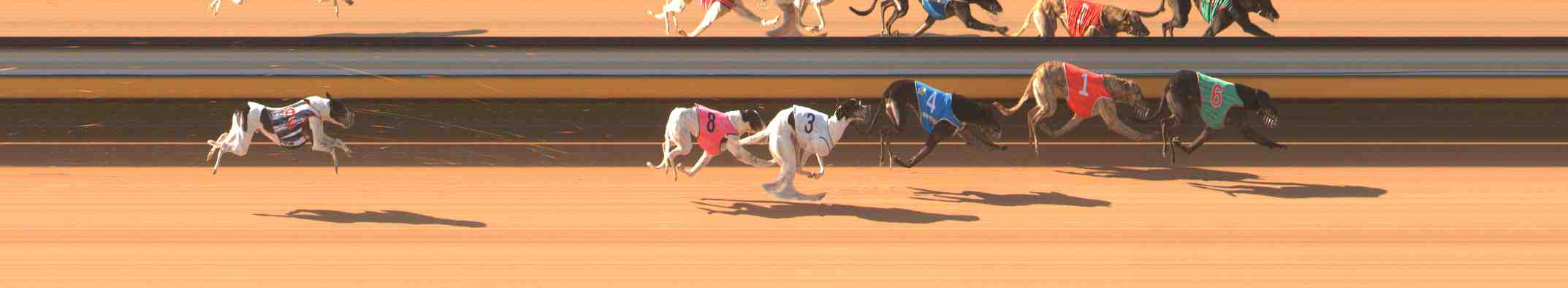 Photo finish for Warrnambool Race 3
