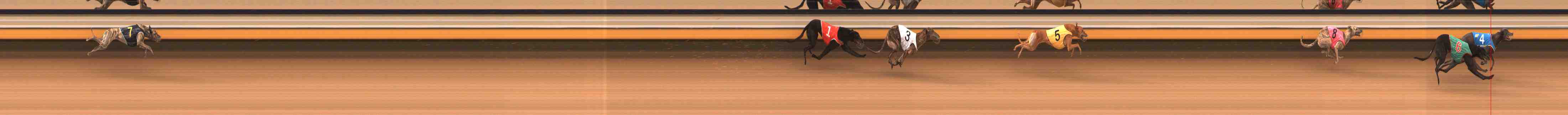 Photo finish for Warrnambool Race 4