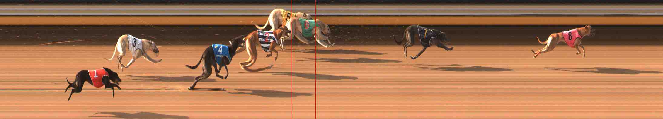 Photo finish for Warrnambool Race 5