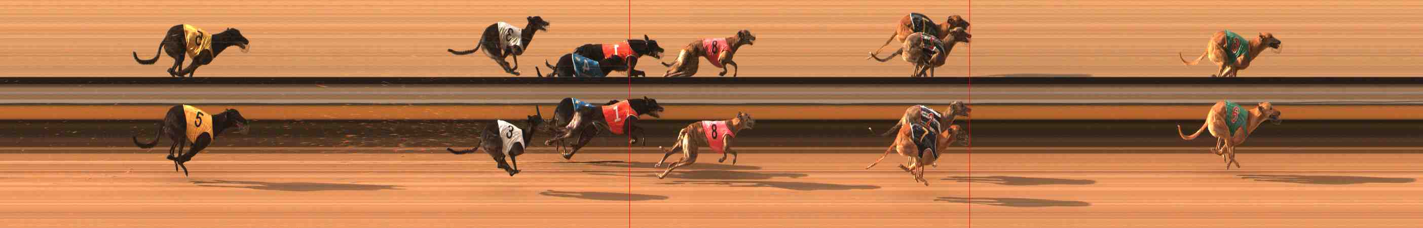 Photo finish for Warrnambool Race 6