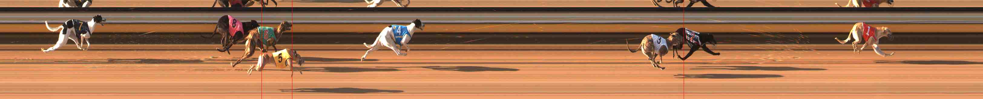 Photo finish for Warrnambool Race 7