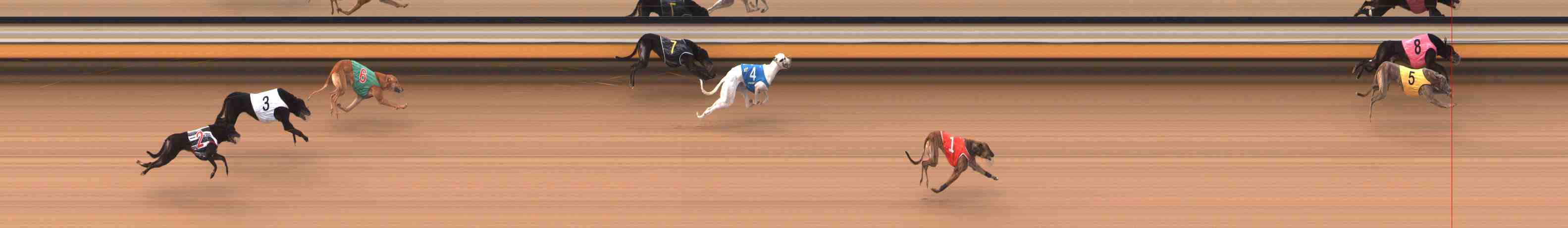 Photo finish for Warrnambool Race 8