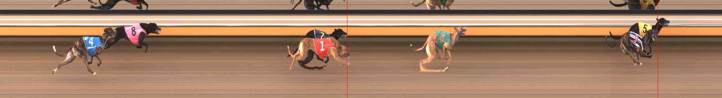 Photo finish for Warrnambool Race 9