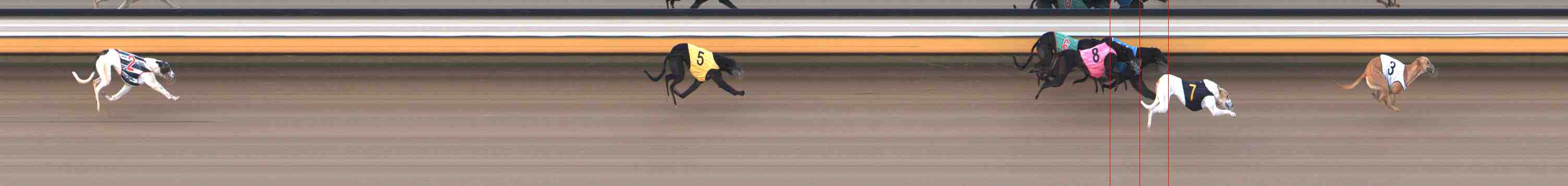 Photo finish for Warrnambool Race 10