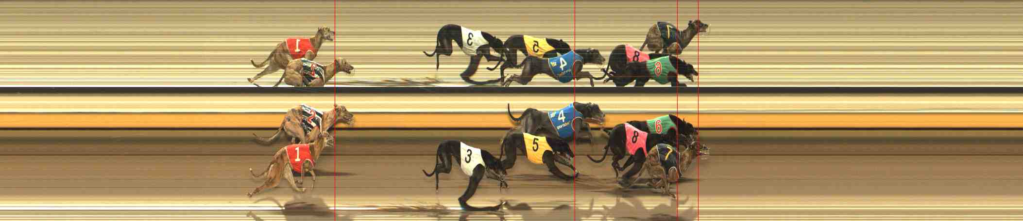 Photo finish for Warrnambool Race 11