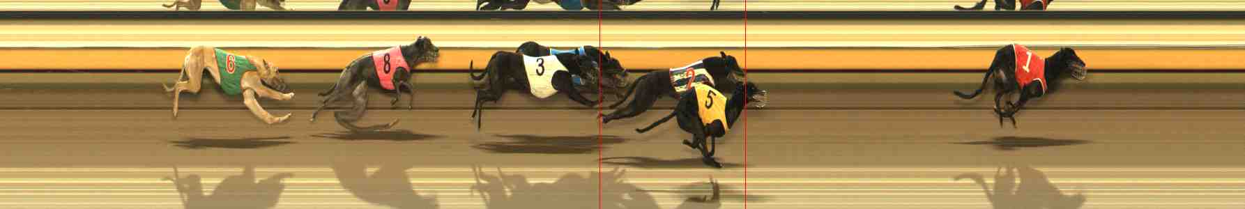 Photo finish for Warrnambool Race 12