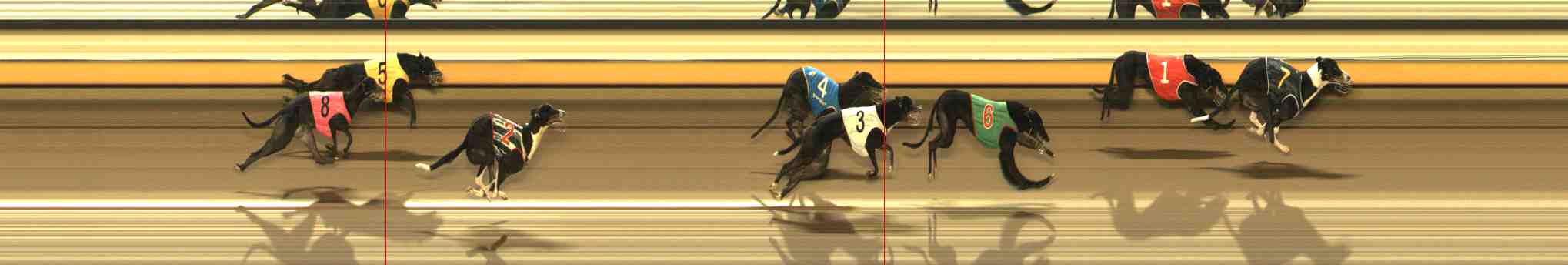 Photo finish for Warrnambool Race 13