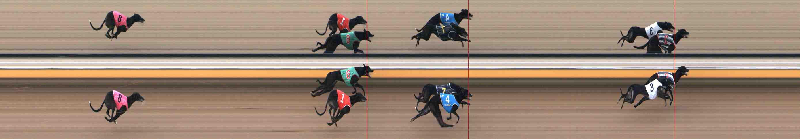 Photo finish for Warrnambool Race 2