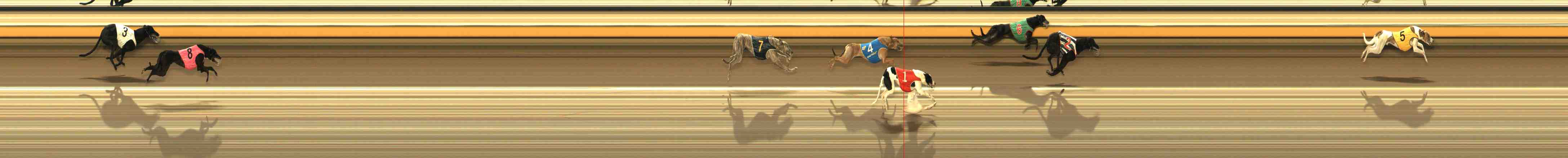Photo finish for Warrnambool Race 3
