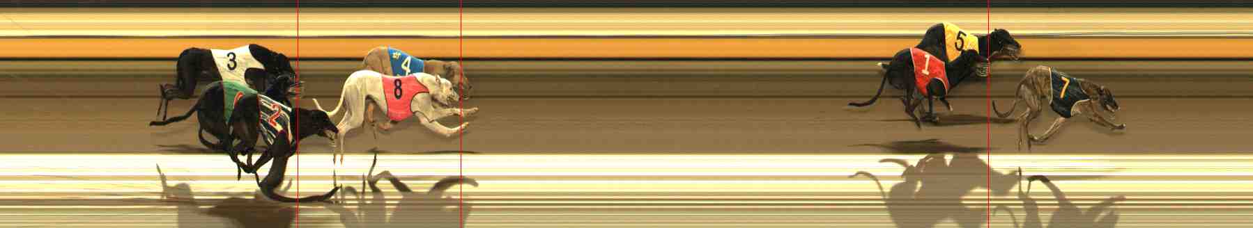 Photo finish for Warrnambool Race 6