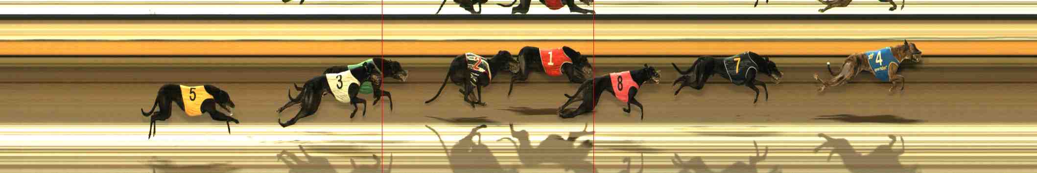 Photo finish for Warrnambool Race 7
