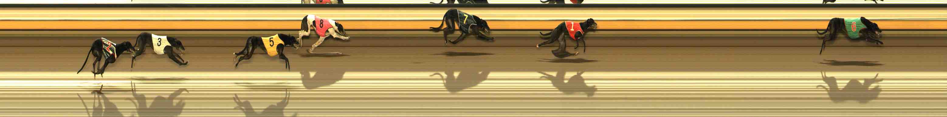 Photo finish for Warrnambool Race 8