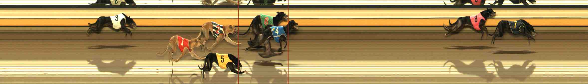 Photo finish for Warrnambool Race 9