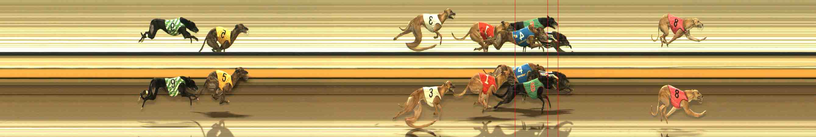 Photo finish for Warrnambool Race 10