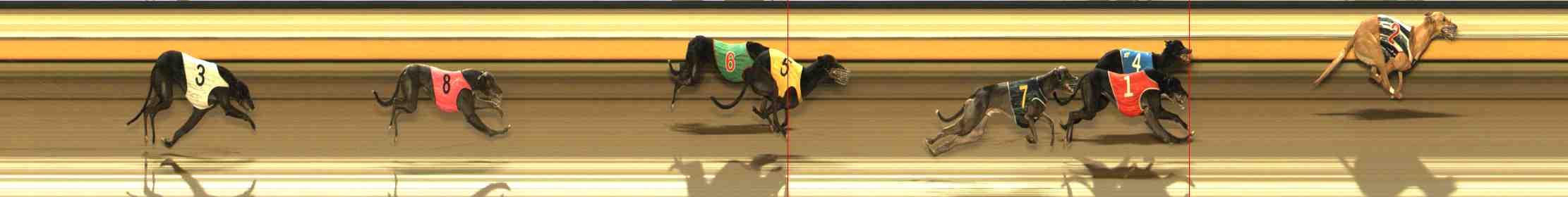 Photo finish for Warrnambool Race 12