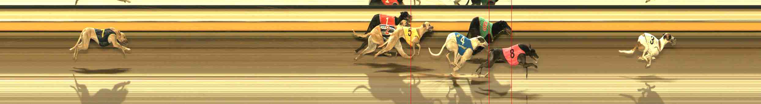 Photo finish for Warrnambool Race 13