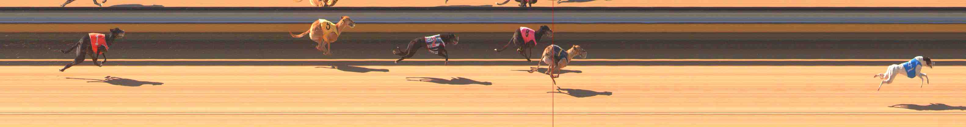 Race result finish photo