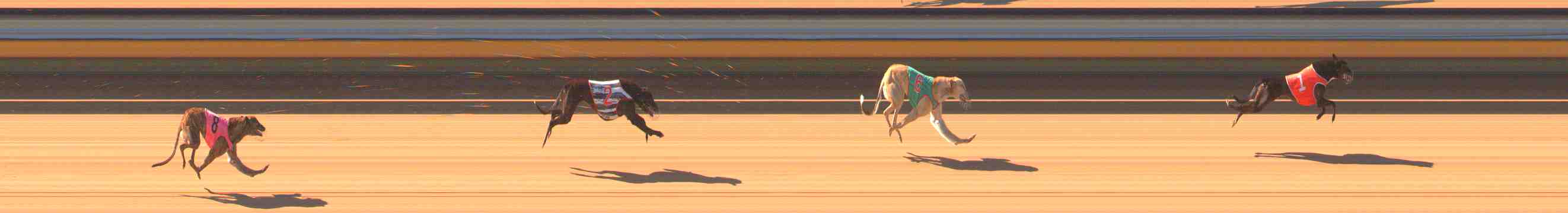 Photo finish for Warrnambool Race 2