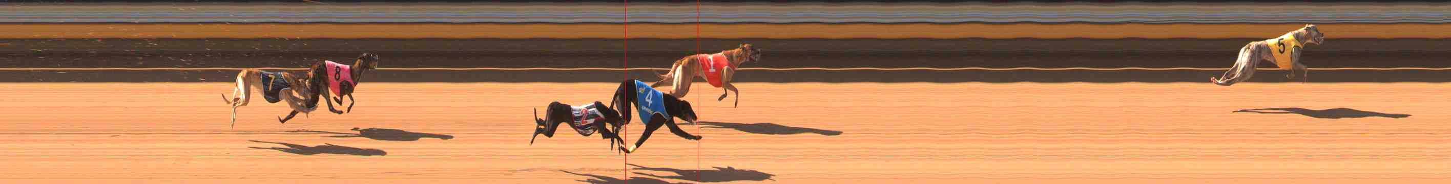 Photo finish for Warrnambool Race 3
