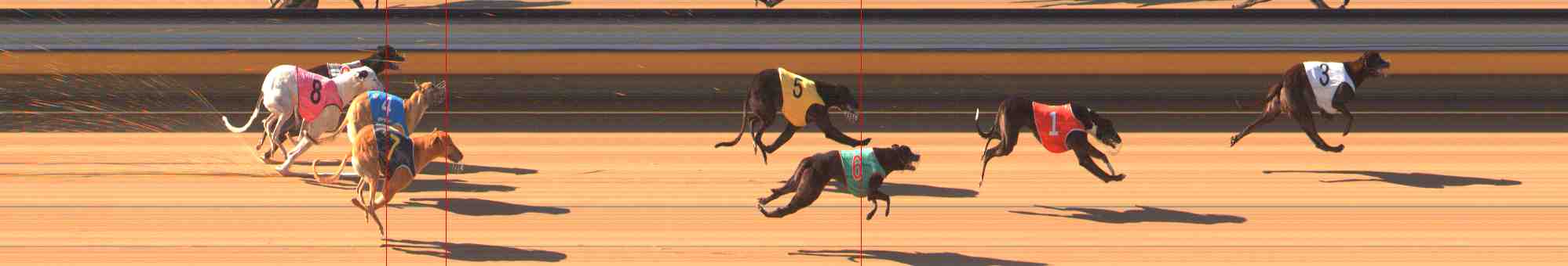 Photo finish for Warrnambool Race 4