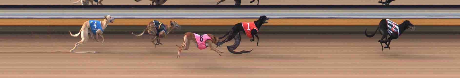 Photo finish for Warrnambool Race 5