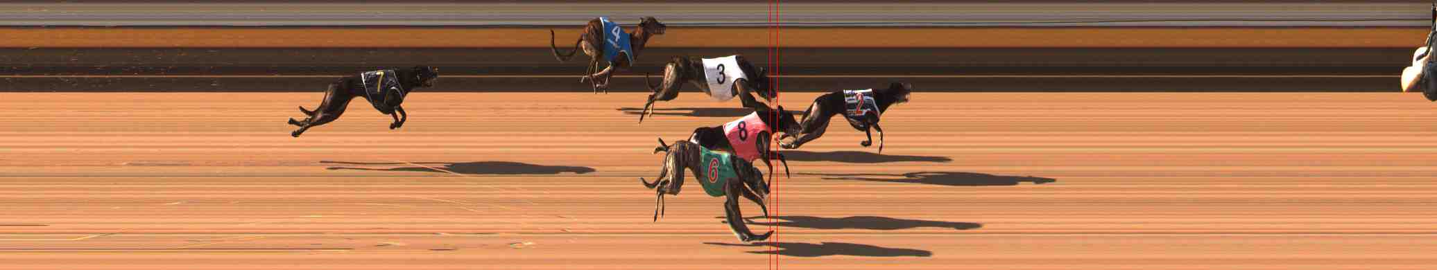 Photo finish for Warrnambool Race 6